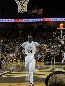 32807528326_b7166bb8a7_tacko-fall